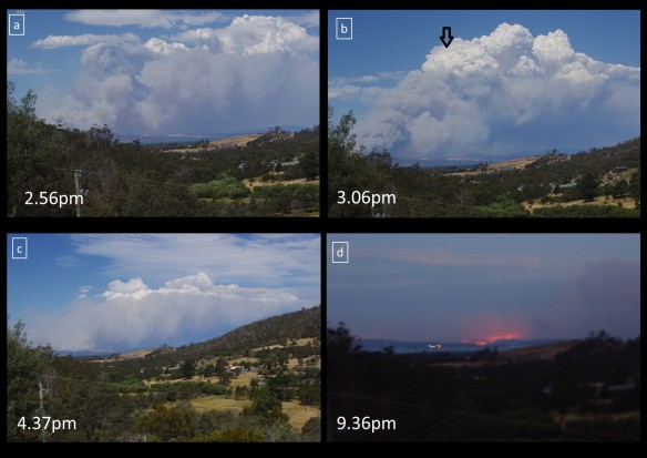 The Tasman Peninsula Fire, 4th January 2013. Images a,b,c and d show the progression of the fire with time shown. The arrow (image b) shows the height of the convection column. The height of this column demonstrates the strong winds and the direction the passage of embers which created spotting well in front of the firefront.
