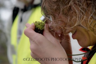 Using a handlens to observe a bryophyte (moss). Image copyright: Fiona Walsh 'Gumboots Photography' https://gumboots.carbonmade.com/